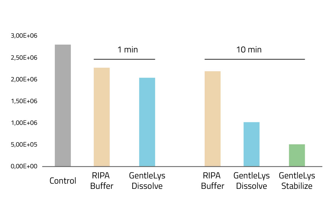 Amount of detected living cells GentleLys vs RIPA